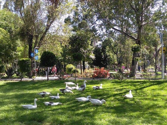 Parque Ecológico